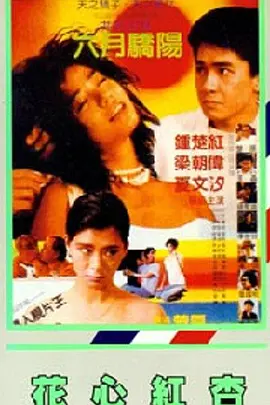 黄色片人与动物